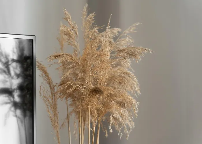 44 * 슈비노우이스쳬