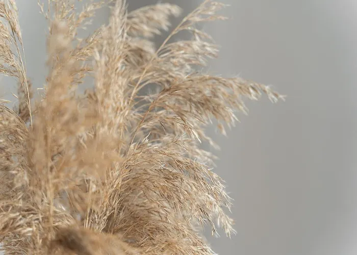 44 * 슈비노우이스쳬